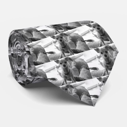 Stropdas Chihuahua (Opgerold)