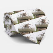 Stropdas Dolomedes Spider - Natuurlijke (Opgerold)