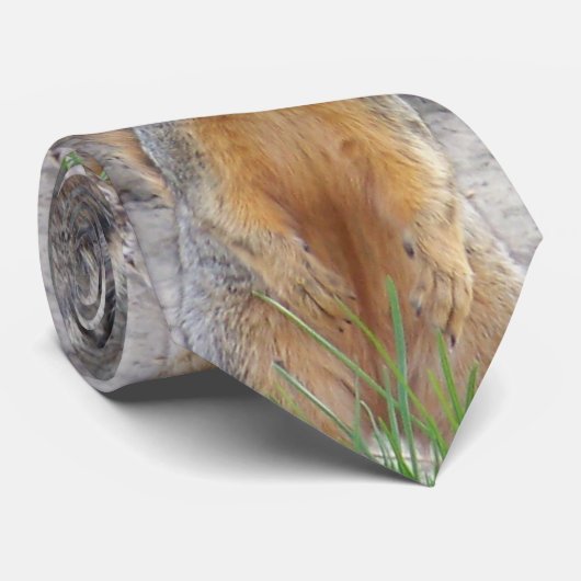 Stropdas eekhoorn (Opgerold)
