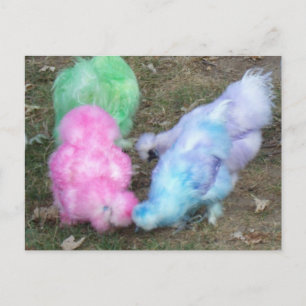 Stropdas geverfde Silkie-kippen in paaspaaskleuren Feestdagenkaart