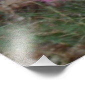 Stropdas geverfde Silkie-kippen in paaspaaskleuren Foto Afdruk (Hoek)