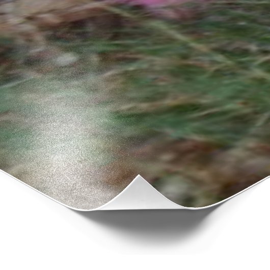 Stropdas geverfde Silkie-kippen in paaspaaskleuren Foto Afdruk (Hoek)