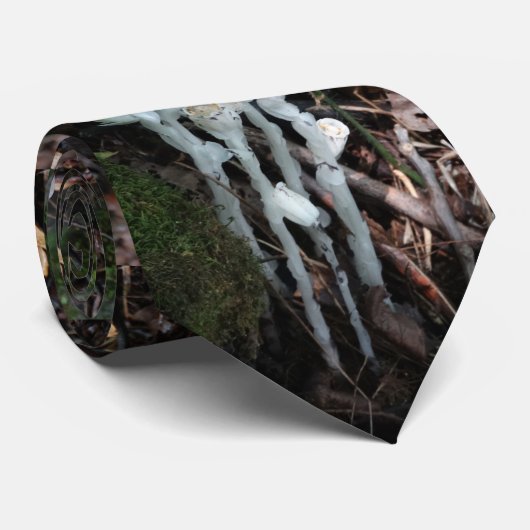 Stropdas Ghost Plant (Opgerold)