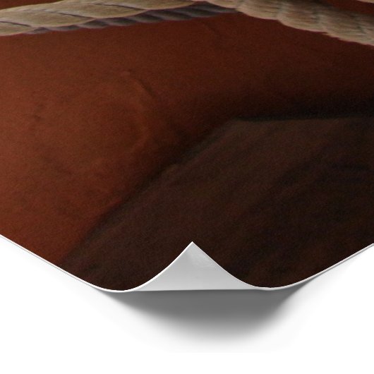 Stropdas het neer poster (Hoek)