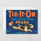 Stropdas-Het-op peren  Reclame Briefkaart (Voorkant / Achterkant)