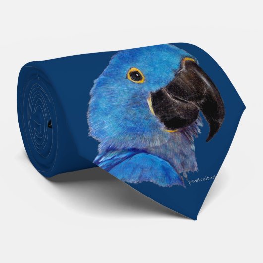 Stropdas - Hyacinth Macaw (Opgerold)
