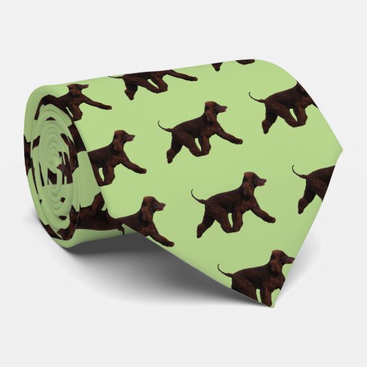 Stropdas Iers waterspaniel (Opgerold)