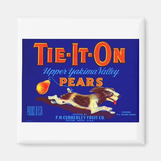 Stropdas-it-on peren magneet (Voorkant)