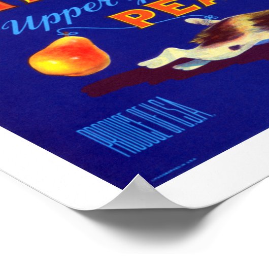 Stropdas-it-on peren poster (Hoek)