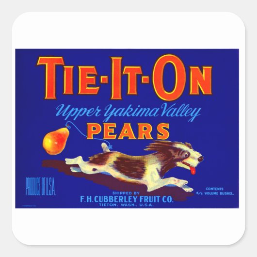 Stropdas-it-on peren vierkante sticker (Voorkant)