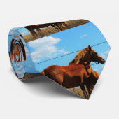 Stropdas Kansas Horses (Opgerold)