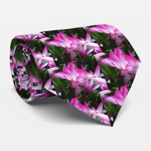 Stropdas kerstcactus Flowers (Opgerold)