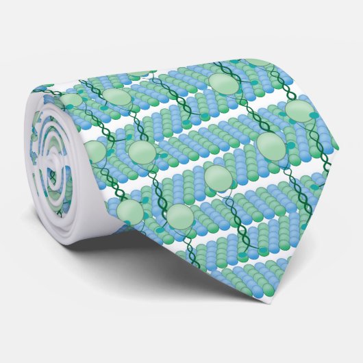 Stropdas kinesin motoreiwit belandend (Opgerold)