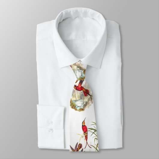 stropdas kolibrie (Gebonden)