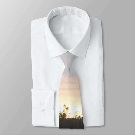 Stropdas landschap (Gebonden)