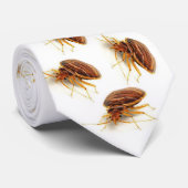 Stropdas - lectularius Cimex (bedinsect) (Opgerold)