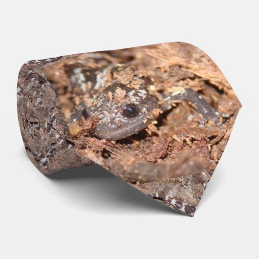 Stropdas met gemarmerd salamander (Opgerold)