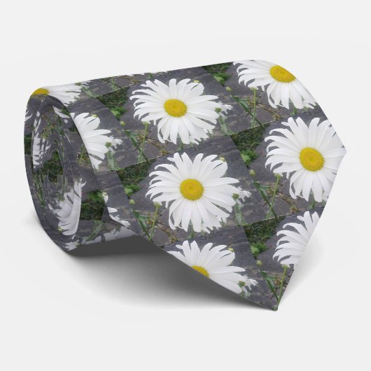 Stropdas met grote witte dagen (Opgerold)