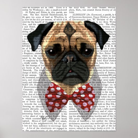Stropdas met rode en witte pootjes poster (Voorkant)