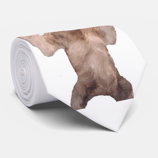 Stropdas met sleuf (Opgerold)