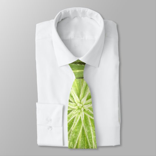 Stropdas mousserende druppels (Gebonden)