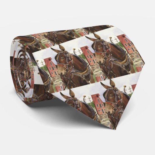 Stropdas, Mule Stropdas (Opgerold)