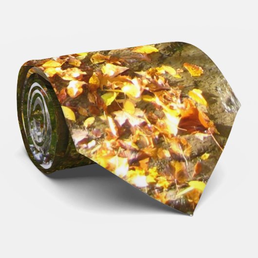 Stropdas najaar (Opgerold)