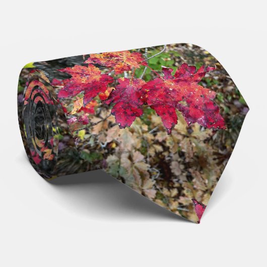 Stropdas / najaarbladpatroon (Opgerold)