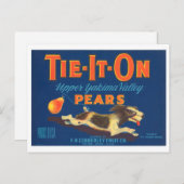Stropdas op het etiket van peren  fruitkratten briefkaart (Voorkant / Achterkant)