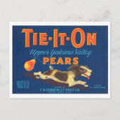 Stropdas op het etiket van peren  fruitkratten briefkaart (Voorkant)