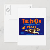 Stropdas op peren briefkaart (Voorkant / Achterkant)