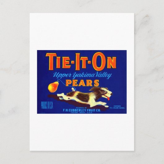 Stropdas op peren briefkaart (Voorkant)