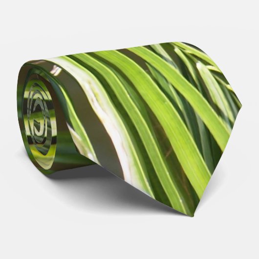 Stropdas Palmbeukenbossen (Opgerold)