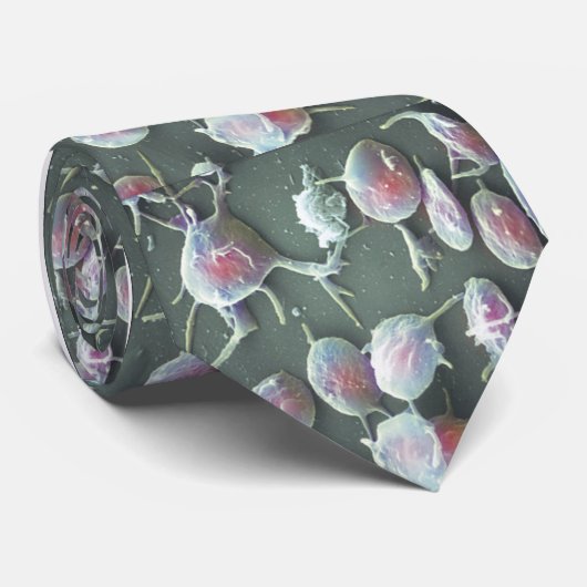 stropdas - Platelet (geactiveerd) op leisteen canv (Opgerold)