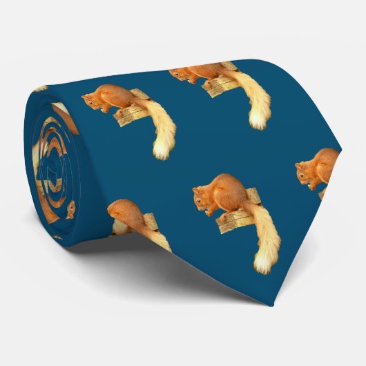 Stropdas rode eekhoorn (Opgerold)