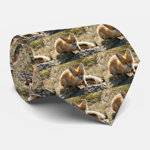 Stropdas Rode Fox-Mannen