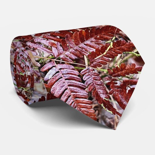 Stropdas / rood ijzer (Opgerold)