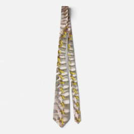 Stropdas ruggengraat