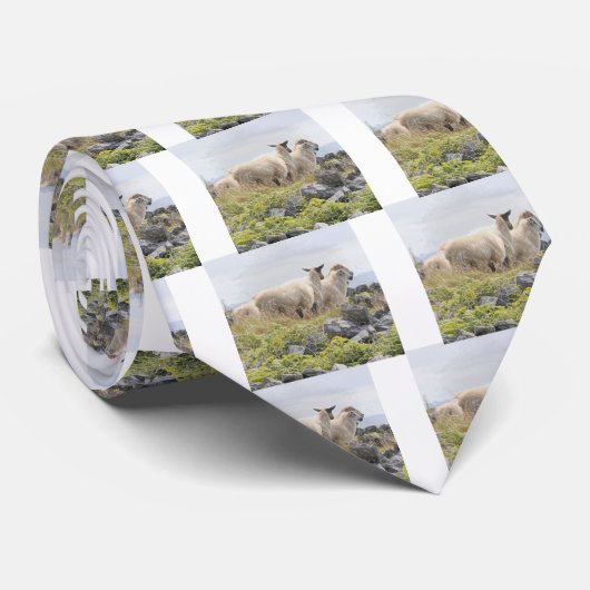 Stropdas schapen (Opgerold)