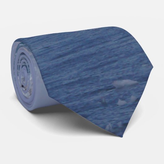 Stropdas schoonheid, bevroren (Opgerold)