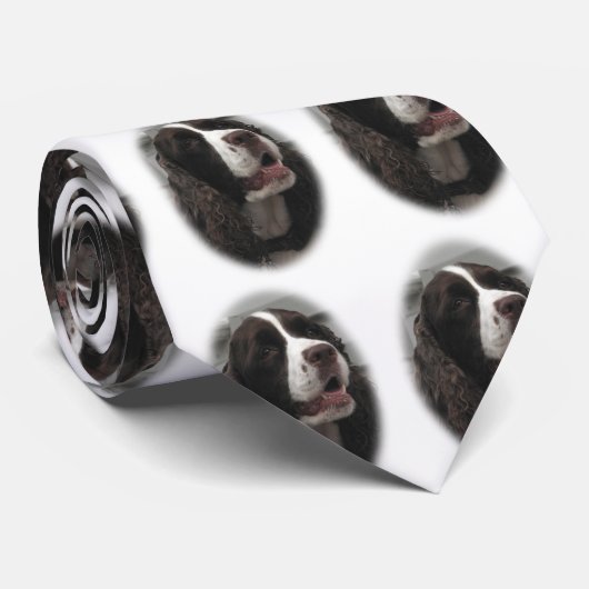 Stropdas Springer Spaniel (Opgerold)