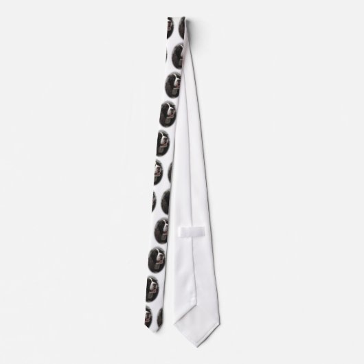 Stropdas Springer Spaniel (Achterkant)