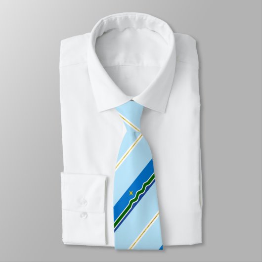 Stropdas stadsvlag Duluth (Minnesota) (Gebonden)