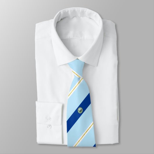 Stropdas stadsvlag (Rhode Island) (Gebonden)