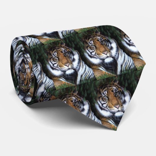 Stropdas Tiger (Opgerold)