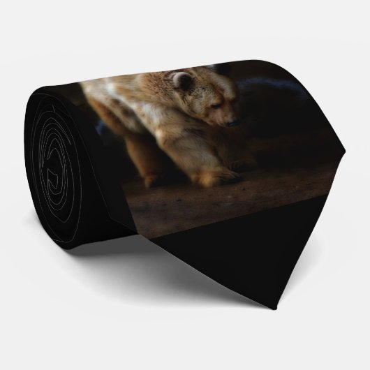 Stropdas van Beary (Opgerold)