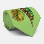 Stropdas van Calocampa vetusta caterpijler (Opgerold)