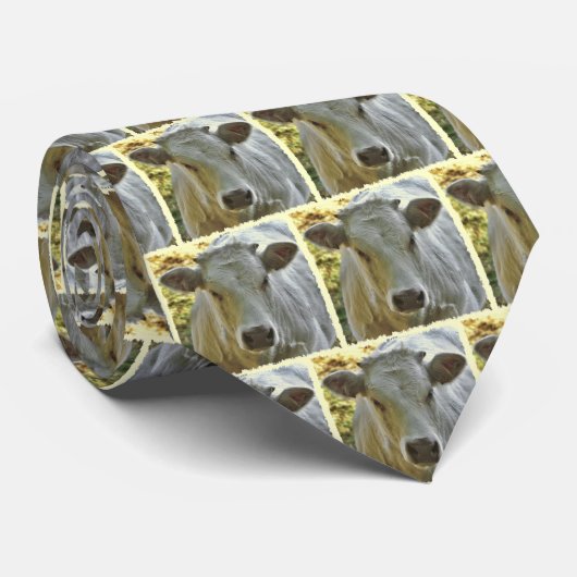 Stropdas van Charolais-koeien (Opgerold)