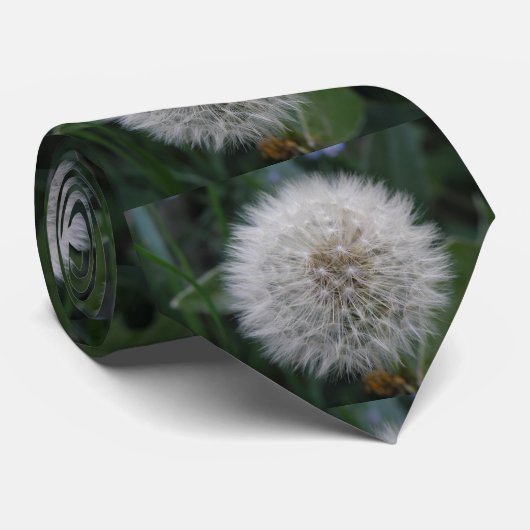 Stropdas van Dandelion (Opgerold)
