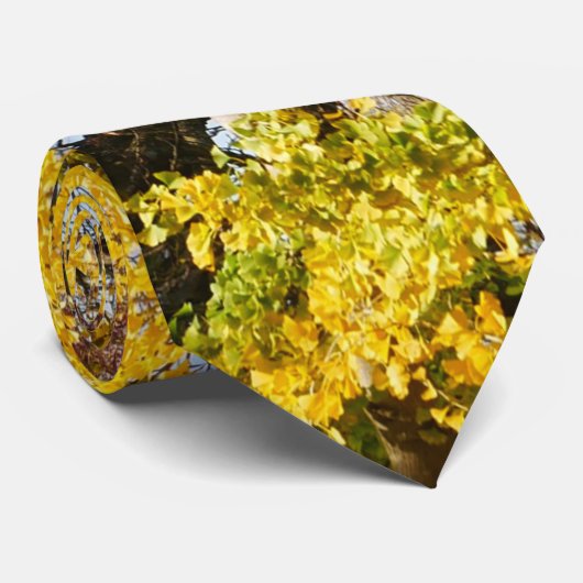 Stropdas van de Boom Ginkgo Biloba (Opgerold)